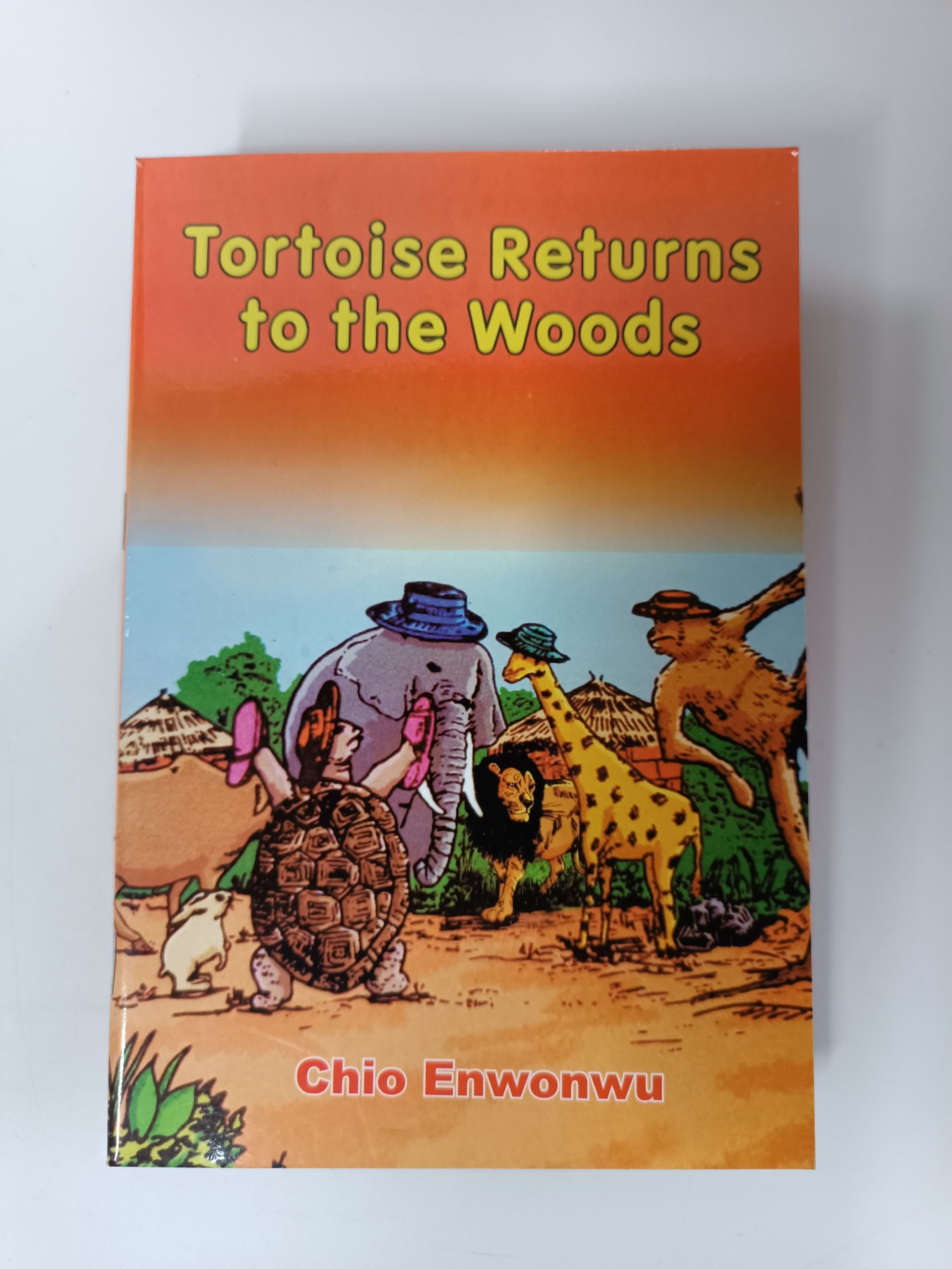 Tortoise Returns to The Woods Chio Enwonwu