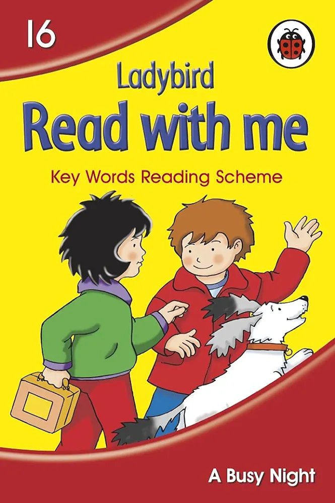 Ladybird Read With Me A Busy Night Book 16