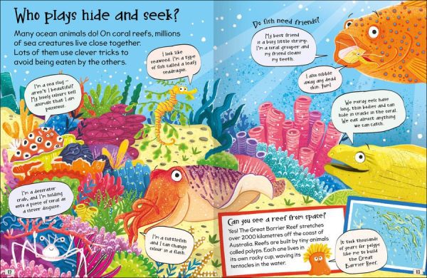 Curious Questions & Answers About Our Oceans - Image 4