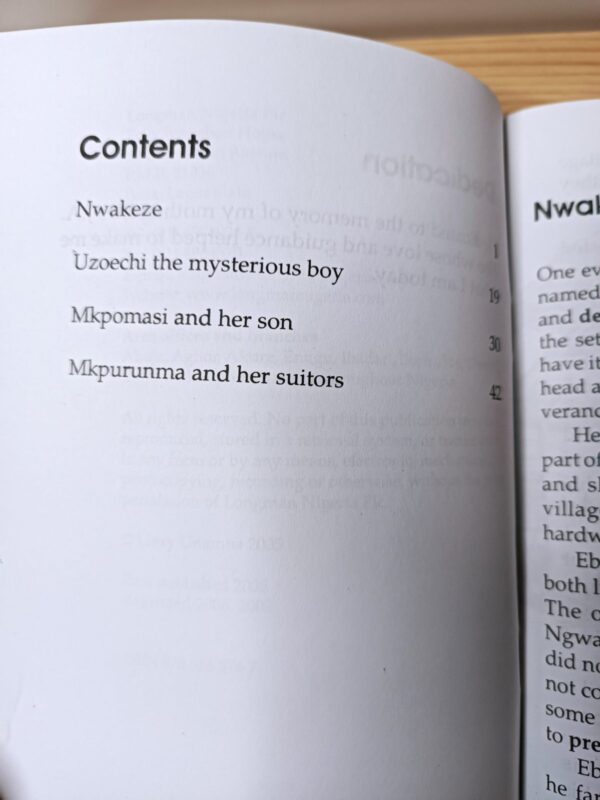 Nwakeze and Other Stories - Image 2