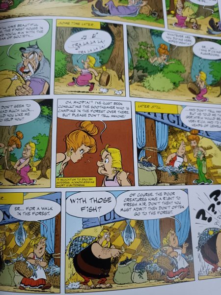 Asterix and The Soothsayer - Image 2