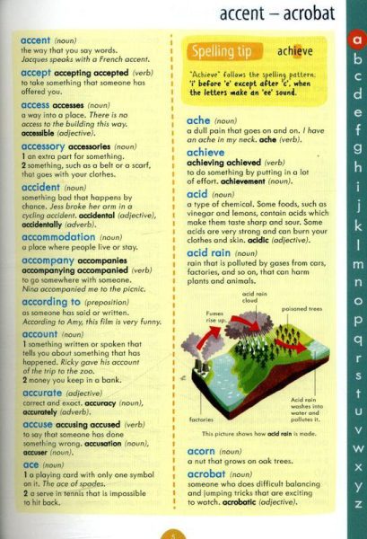 Junior Illustrated English Dictionary and Thesaurus - Image 4