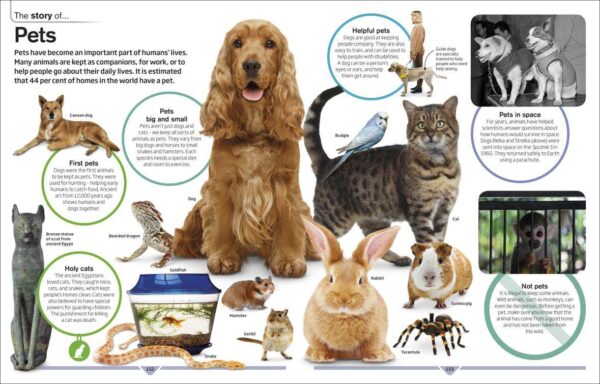 DK Children's Encyclopedia: The Book that Explains Everything - Image 8