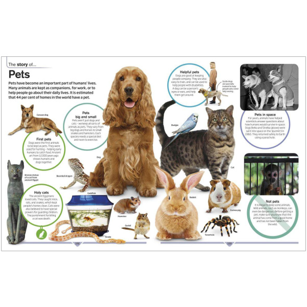 DK Children's Encyclopedia: The Book that Explains Everything - Image 8