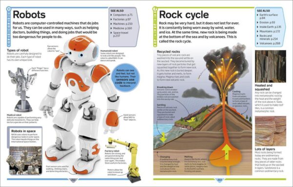 DK Children's Encyclopedia: The Book that Explains Everything - Image 5
