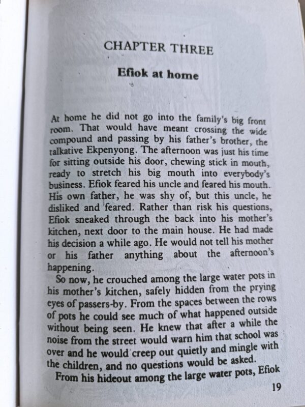 Efiok Begins Again - Image 3