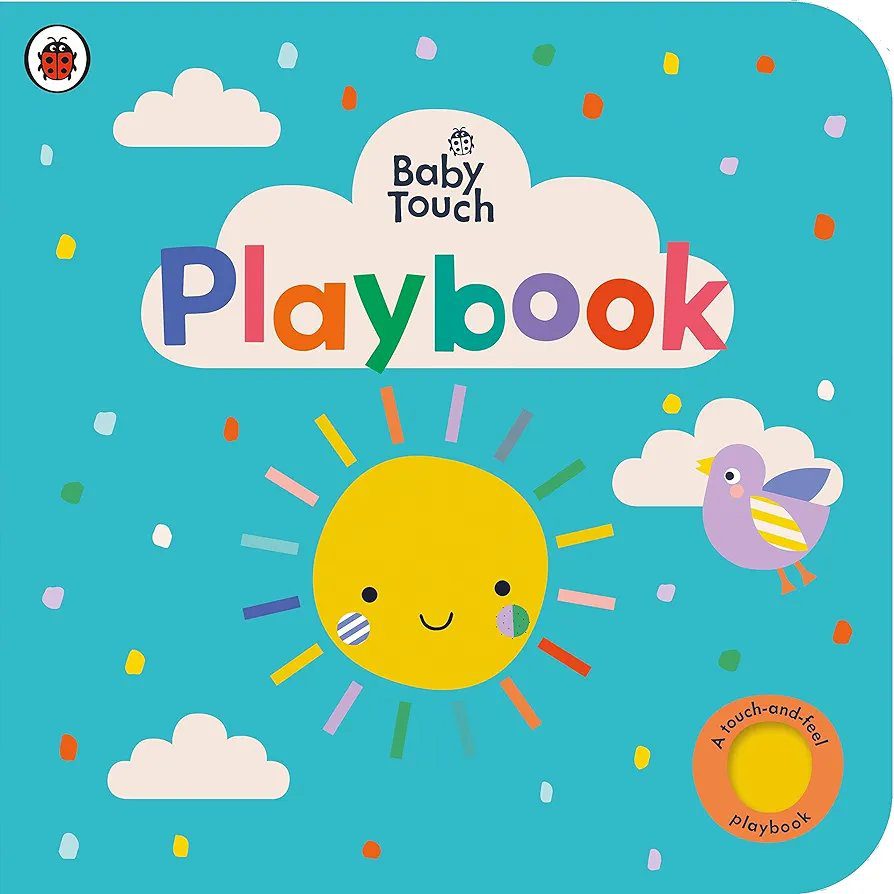 Baby Touch: Playbook( Ladybird)