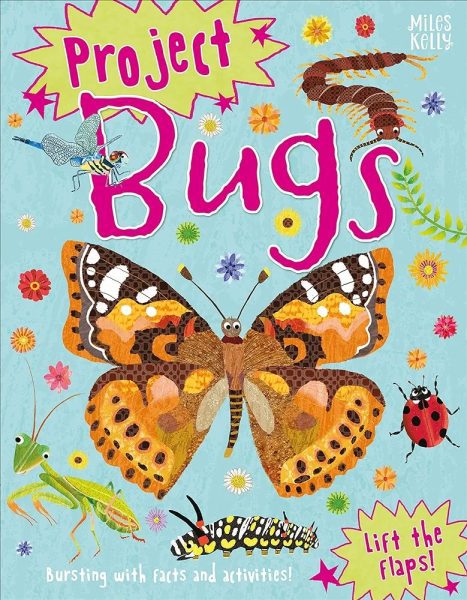 Project Bugs