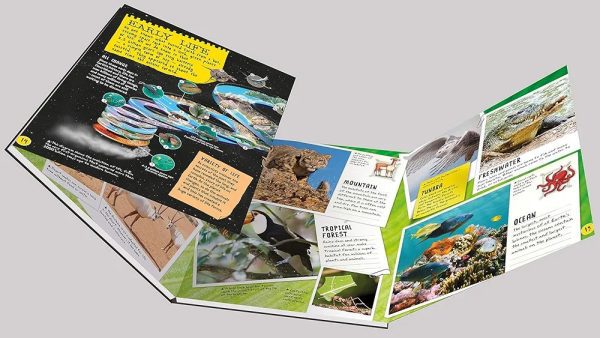Project Earth - Image 2