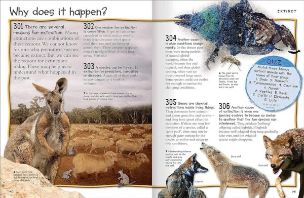 Fantastic Animal Facts - Image 4