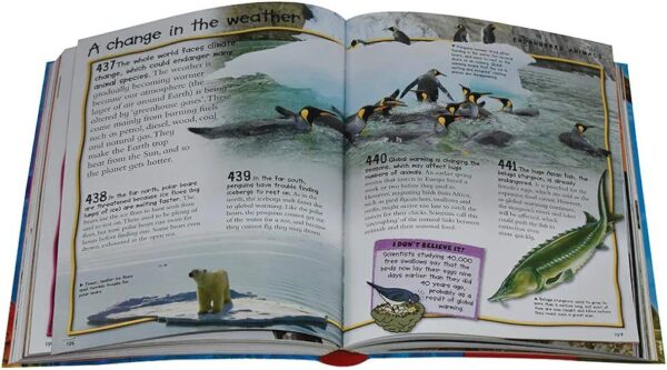 Fantastic Animal Facts - Image 3
