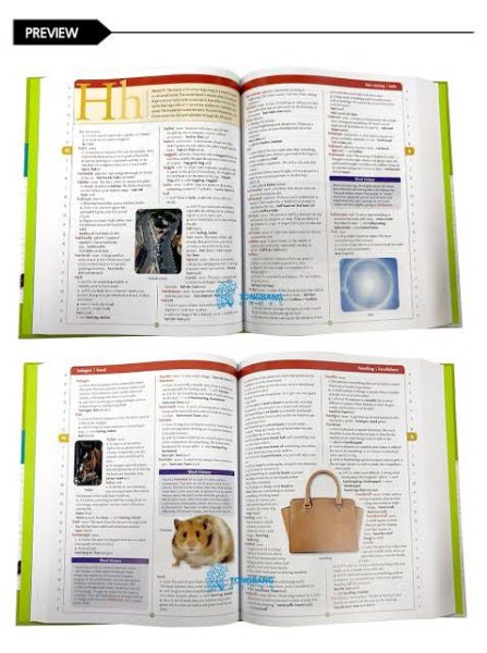 Scholastic Children's Dictionary - Image 5