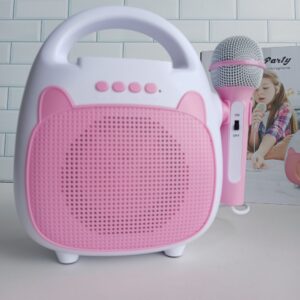 Karaoke Singing Radio ( Pink)