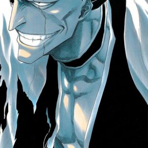 Bleach (3-in-1 Edition), Vol. 5: Includes vols. 13, 14 & 15
Title Kubo