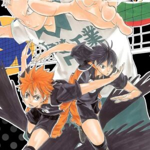 Haikyu!!  Vol. 2: (3in1 Edition Includes vols. 4, 5 & 6)
Haruichi Furudate